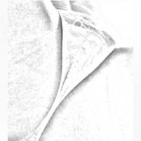 /photo/605233/老婆藝術照/2013-02-21 02.44.37_1_3_small.jpg